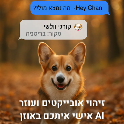 משקפיי AI חכמות